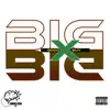 GoodGuy - Big Big - Single